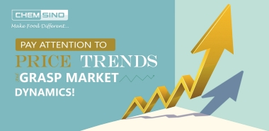 価格の傾向に注意を払い、市場の動向を把握する